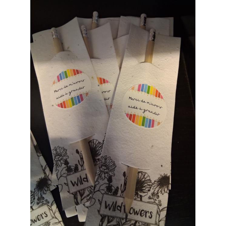 Crayon de bois à planter