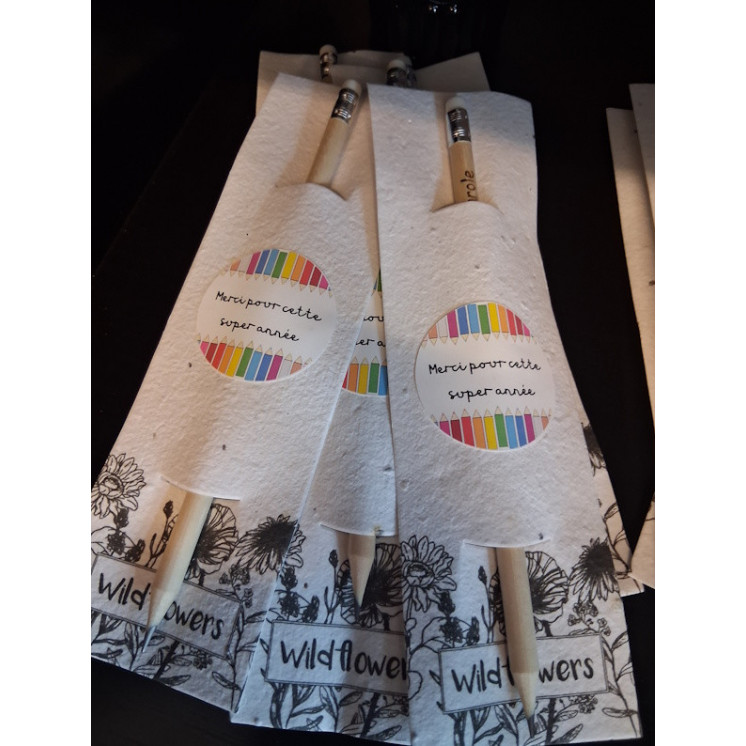 Crayon de bois à planter