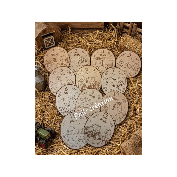 Cartes étapes